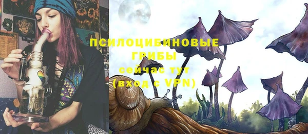 ALPHA PVP Гусиноозёрск